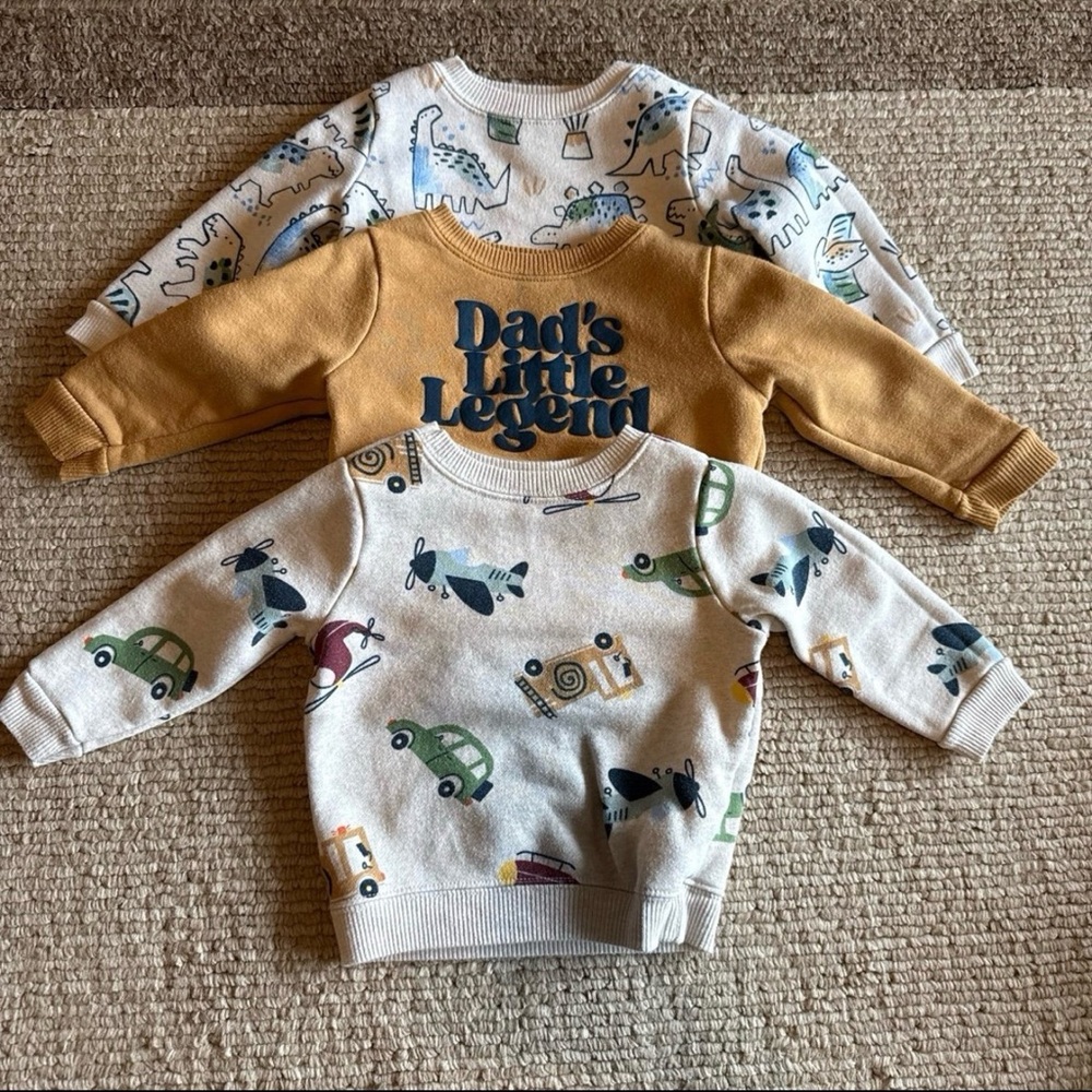 Boys Crewneck Sweatshirt Trio 6-9 Months
